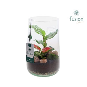 Green Bottle Deline Large met groene planten