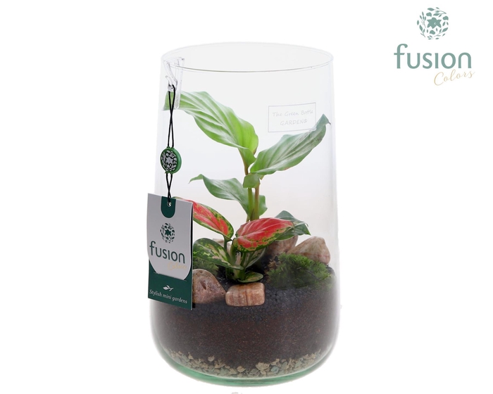 <h4>Green Bottle Deline Large met groene planten</h4>