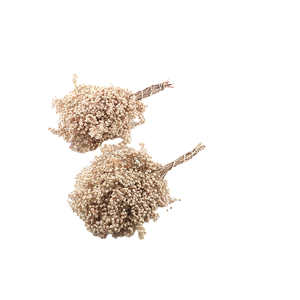 Pepperberry White Bleached