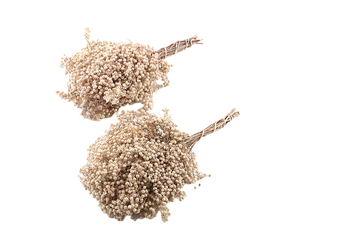 <h4>Pepperberry White Bleached</h4>