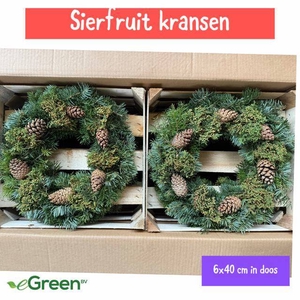 SIERFRUIT KRANS H%