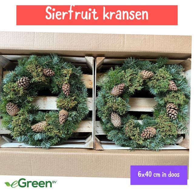 <h4>SIERFRUIT KRANS H%</h4>