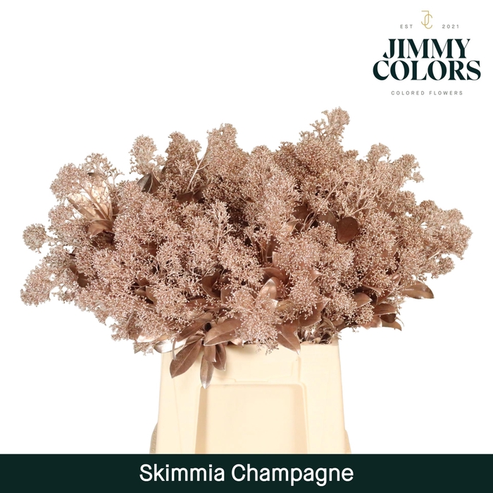 <h4>Skimmia per bos L45 Mtlc. Champagne + glitter</h4>