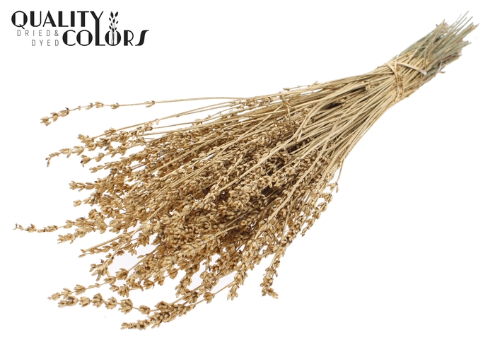 Lavendel per bunch Antique Gold