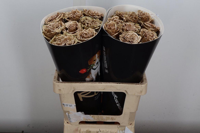 <h4>Wax-Rozen Wax Exclusief Caramel</h4>