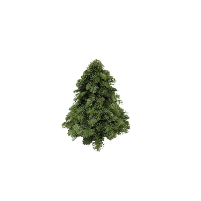 <h4>Kerstboom Nobilis 30cm</h4>
