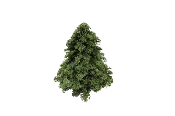 Kerstboom Nobilis 30cm