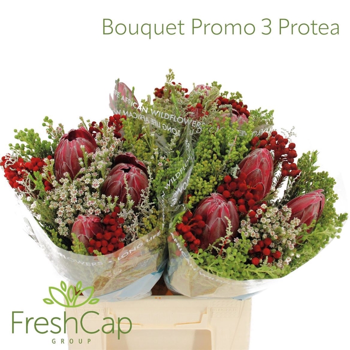 Bouquet Promo 3 Protea