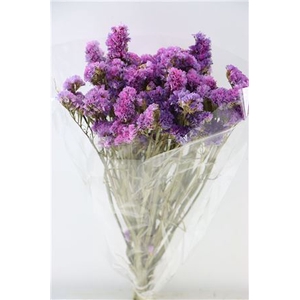 Dried Limonium Statice D. Pink Bunch