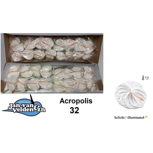 Acropolis 32