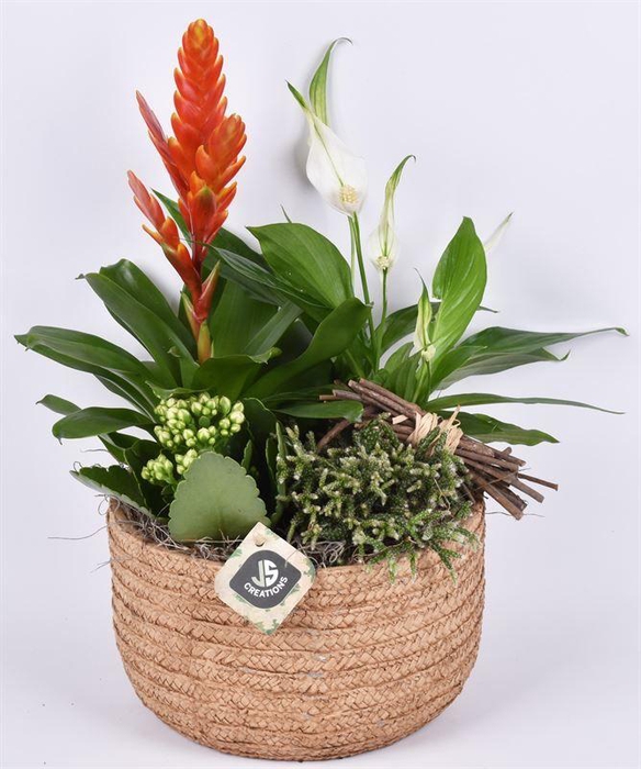 <h4>Cement schaal touwmotief 22cm</h4>