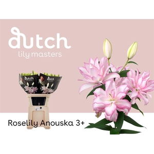 Li Or Du Anouska