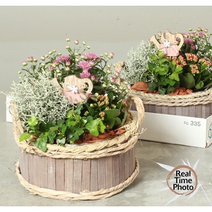 ARR TUINPLANTEN