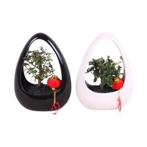 Bonsai Mixed pot ø12cm in ø19cm Ikebana Ceramic Black/White