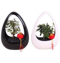 <h4>Bonsai Mixed pot ø12cm in ø19cm Ikebana Ceramic Black/White</h4>