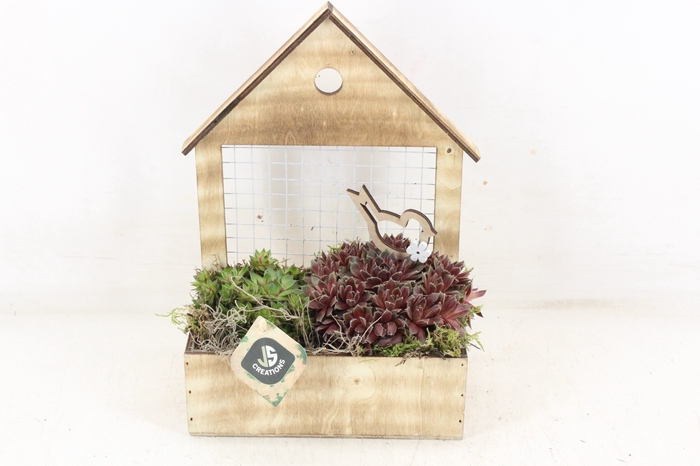 <h4>arr4 Semp JS - Vogelhuis hout gaas</h4>