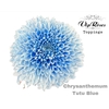 CHR G TUTU BLUE