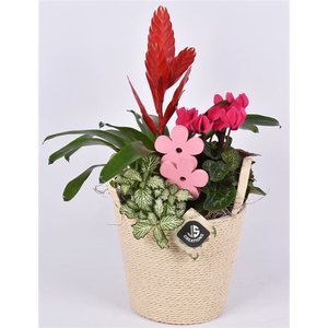 Raffia pot mand 16cm