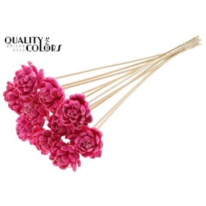 Shola New Beauty Rose 6cm on stem Wax Cerise
