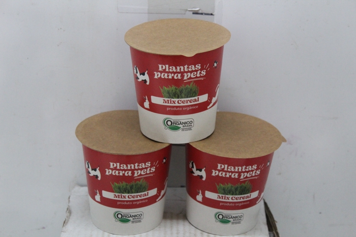 PLANTAS CEREAIS MISTO VASO BIODEGRADAVEL P10