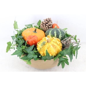 arr4 Sierfruit MB - Kunststof coupe x5