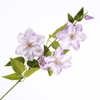 Clematis Spray Purple FL440354PRP