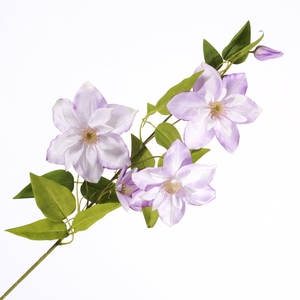 Clematis Spray Purple FL440354PRP
