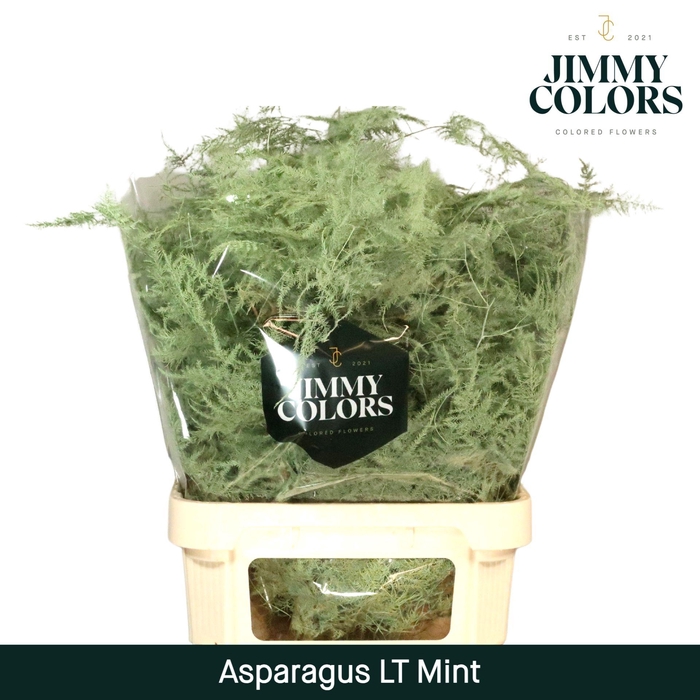 <h4>Aspa lang getopt Mint</h4>