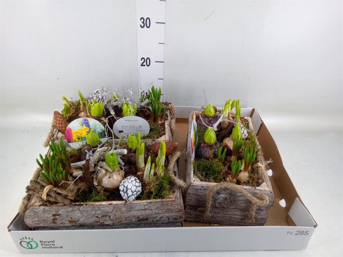 <h4>Arr.   Bol/Knolgewas L%</h4>