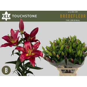 LI OT TOUCHSTONE QUALITY BOX