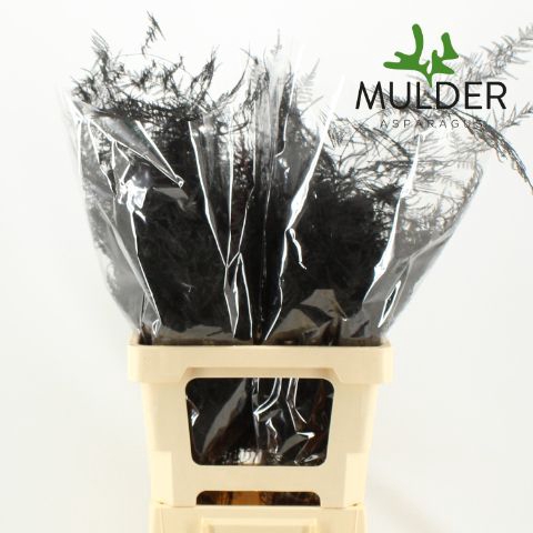<h4>Snijgroen Black Lang Getopt</h4>