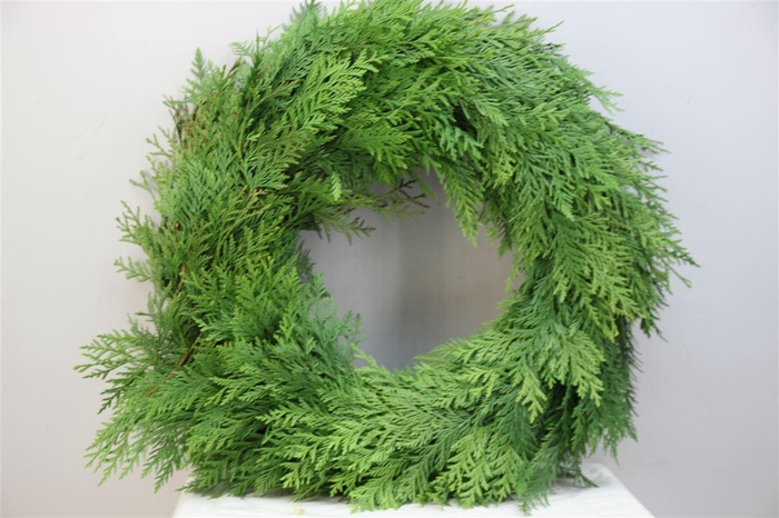 <h4>Krans Conifeer 50</h4>