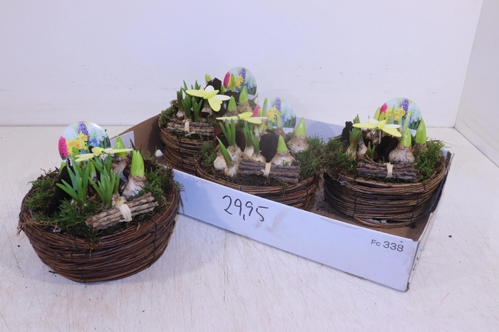 <h4>ARR BOL KNOLGEWAS</h4>