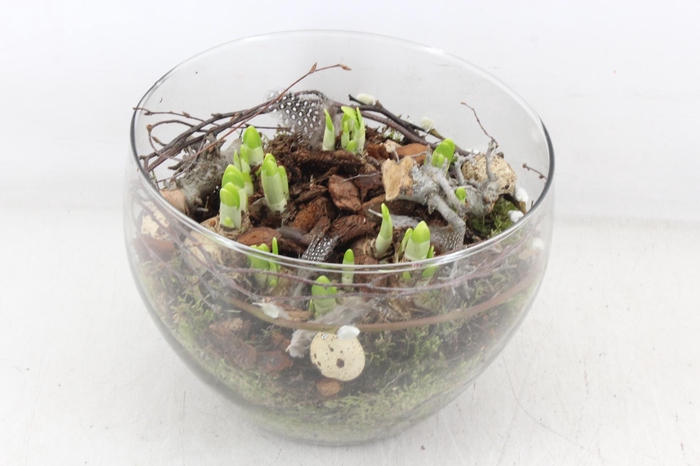 <h4>arr4 Narcis MB - Glas coupe x2</h4>