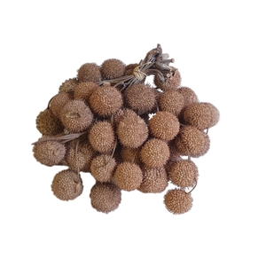 Small ball per bunch in poly Frosted White