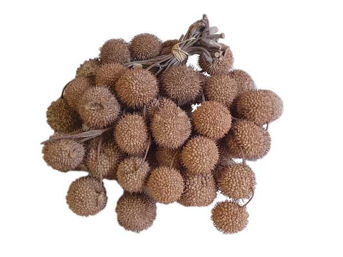 Small ball per bunch in poly Frosted White