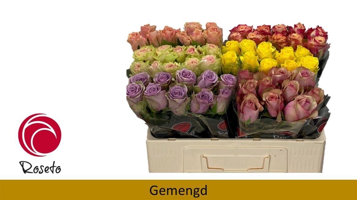 <h4>R Gr Mix In Bucket</h4>