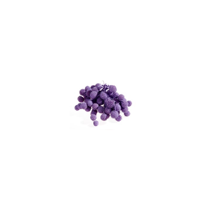 <h4>PLATAAN BALL PASTEL PURPLE</h4>