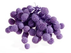 PLATAAN BALL PASTEL PURPLE