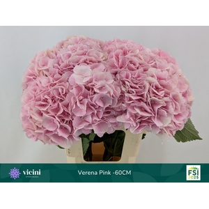 HYDR M CH VERENA