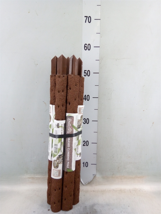 <h4>Decoratie  ..Klimstok composteer H%</h4>