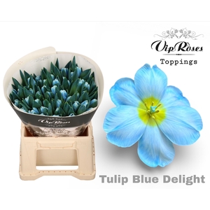 TU EN A BLUE DELIGHT