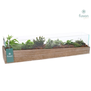 Aquarium Large met Groene Planten