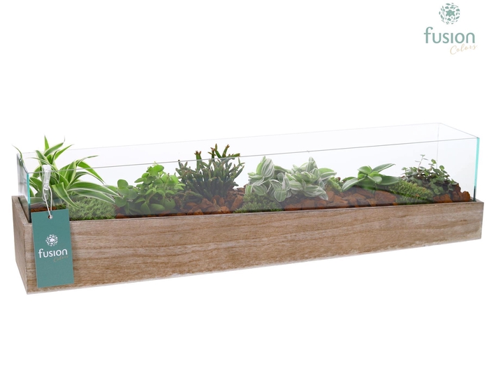 <h4>Aquarium Large met Groene Planten</h4>