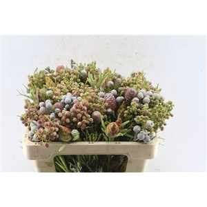 Kaaps Cone Mix Gemengd In Bos