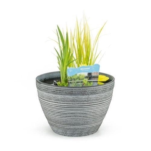 Terrasv de luxe grey inc. mand