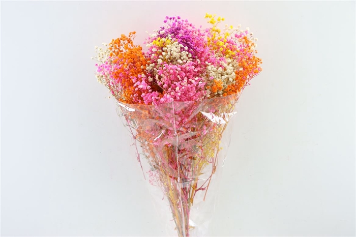 Pres Gyps Bq Mix Rainbow Bunch Slv