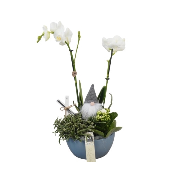 <h4>BMHW1630 Arrangement By Marleen Happy Winter in keramiek schaal</h4>