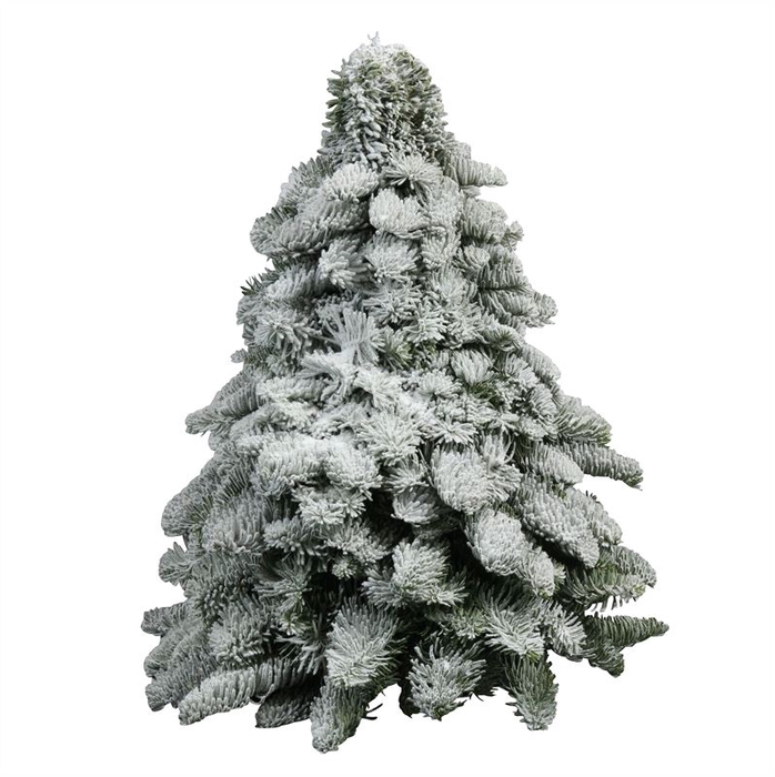 <h4>Kerstboom Besneeuwd L4</h4>