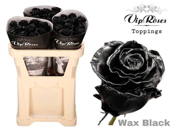 R GR WAX BLACK x 25